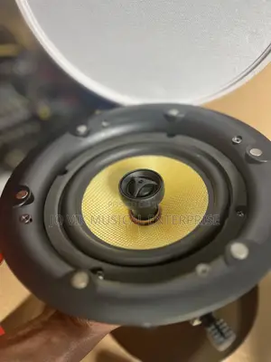 LUCKY TONE Ceiling Speakers 40w