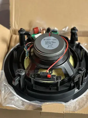 Lucky Tone Ceiling Speakers 80w