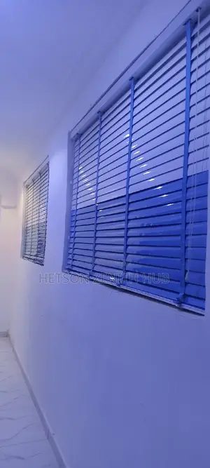 Beautiful Window Blinds