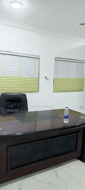 Beautiful Window Blinds