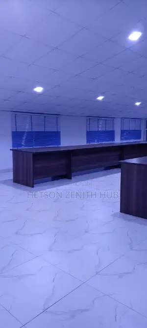 Beautiful Window Blinds