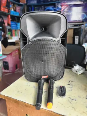 Quality 12" Public Address System