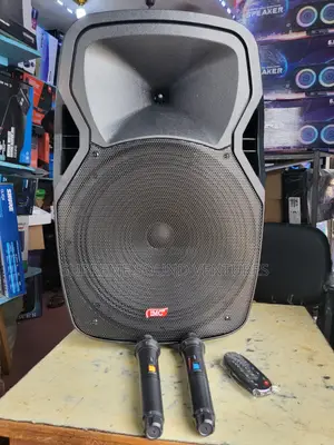 Quality 15” Public Address System