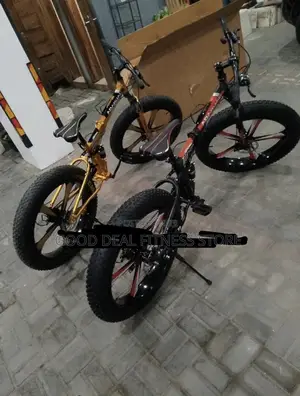 Best Quality Adult Big Tyre Bike