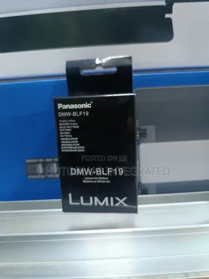 DMW-BLF19 Battery