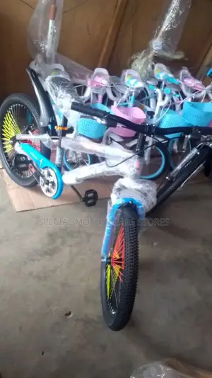 Special Size 22 Bike