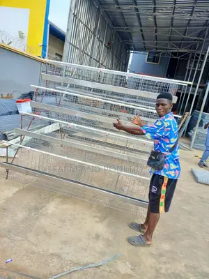Poultry Cage