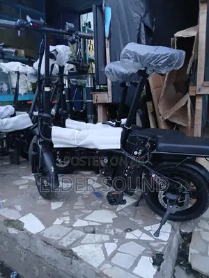 350W Electric Bike With 48V 12.5ah Battery,