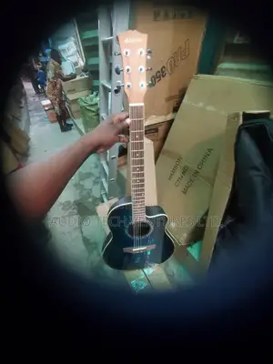 Hamson Semi Acoustic Guitar