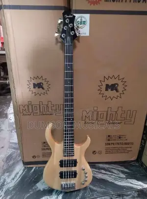 Fender Passive 5 Strings Bass Guitar