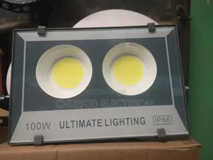 100w LED Flood Light