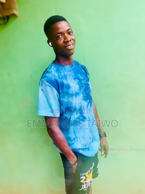 Taiwo Emmanuel Oluwaseyitan