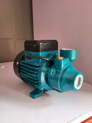 0.5hp Leo Water Pump