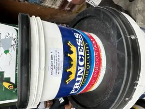 Princess Emulsion Paint 4 Liters Quality