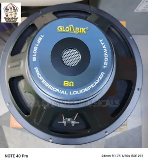 Original 15 Inches Professional Glorik Bass Naked Speaker