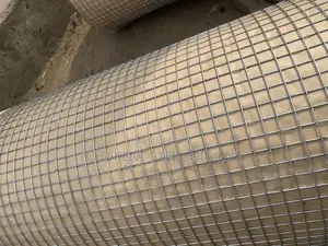 Galvanized Chicken Welded Mesh