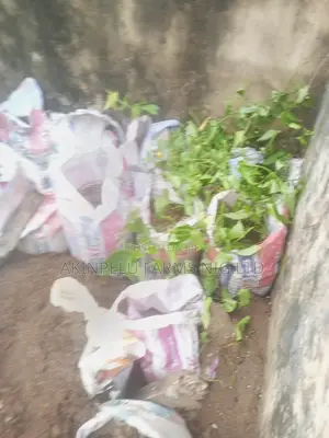 Urban Farming/Sac Farming.
