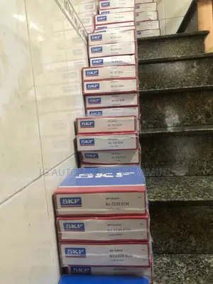 Original SKF Bearing Nj2220,Nj217,Nj216 All Available