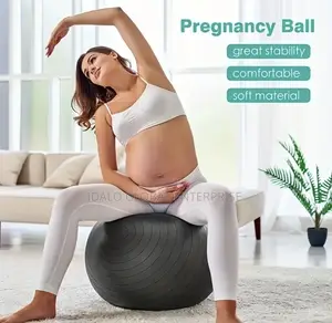 Gym/Pregnancy Ball