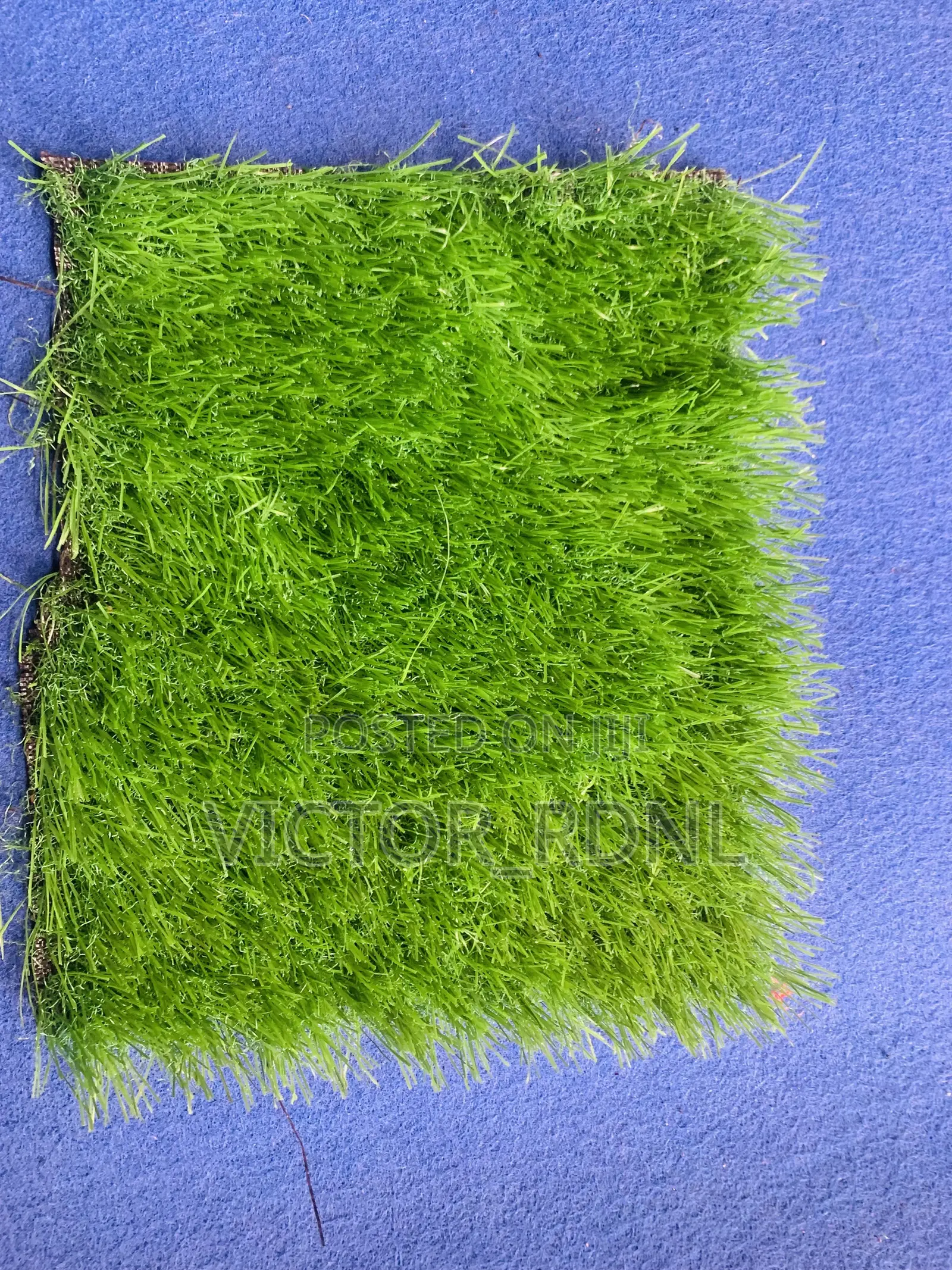Artificial Grass Carpet Gold