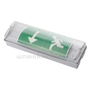 Led Emergency Light