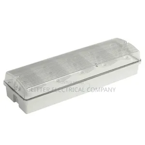Led Emergency Light