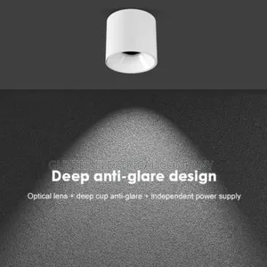 Led Anti-Glare Ceiling Light