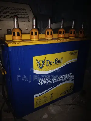 Dead Inverter Batteries