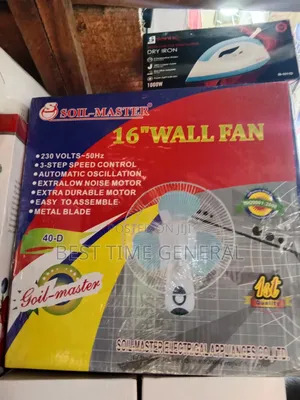 Luxury Electric Wall Fan