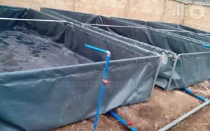 Tarpaulin and Iron for Fish Pond( Payment on Delivery)