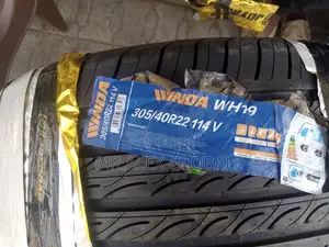 305/40/22 Winder Tires
