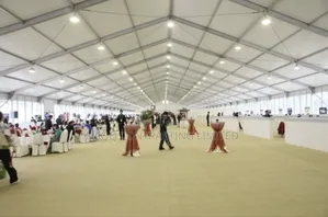 Marquee Tent Expert;Quality Job,Better Price;1 More Customer