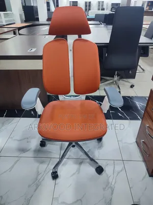 Orthopaedic Office Chair