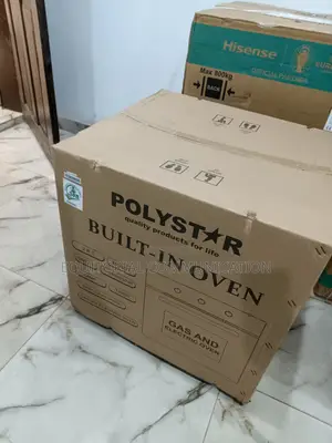 Affordeable 65litres Polystar Built in Electric Oven 