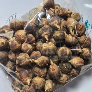 Gorontula (Snot Apple)