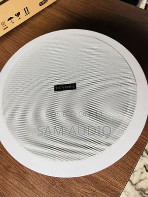 Tundra 50watts Passive Ceiling Speaker