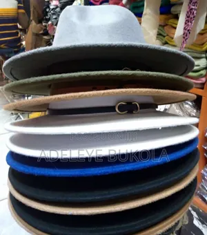 Fedora Hat in Clothing Accessories