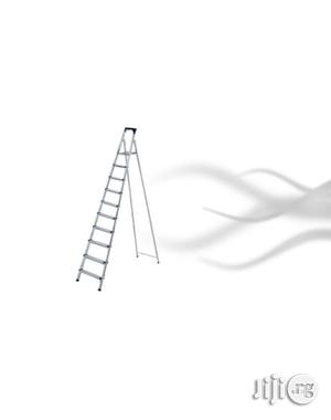 10 Step Platform Ladder