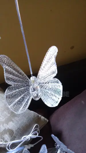 Butterfly Chandalier Lights