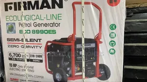 Firman Eco8990es Petrol Generator 6.7kva