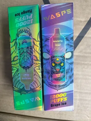 12000 Puffs Vape