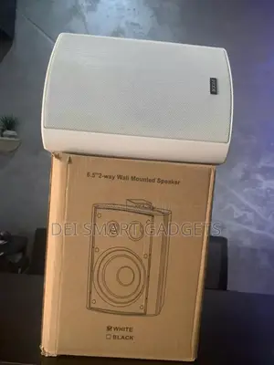 2-Way Wall Mounted Speaker (Boom)