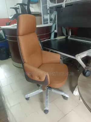 Italian Unique Executive Office Chairs
