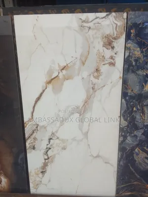 Indian Polished Tiles