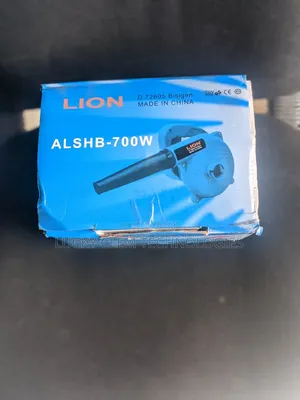 Electric Air Blower