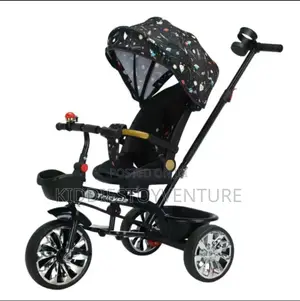 Outdoor and Indoor Tricycle With Canopy