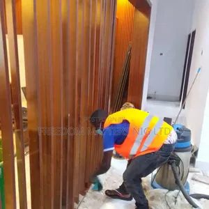 Professional Cleaners Services