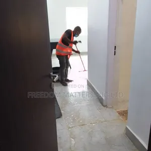 Professional Home Cleaning Available