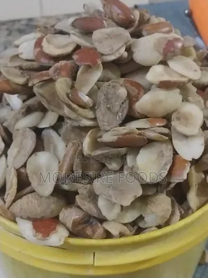 Ador Ogbono