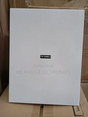 Tundra in-Wall Speaker